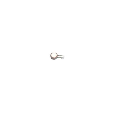 Bani Bucha do Cabo do Trambulador - AutoZone